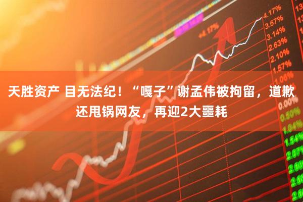 天胜资产 目无法纪！“嘎子”谢孟伟被拘留，道歉还甩锅网友，再迎2大噩耗