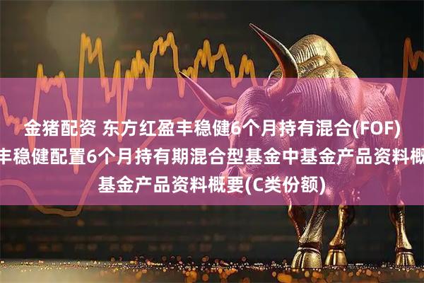 金猪配资 东方红盈丰稳健6个月持有混合(FOF)C: 东方红盈丰稳健配置6个月持有期混合型基金中基金产品资料概要(C类份额)