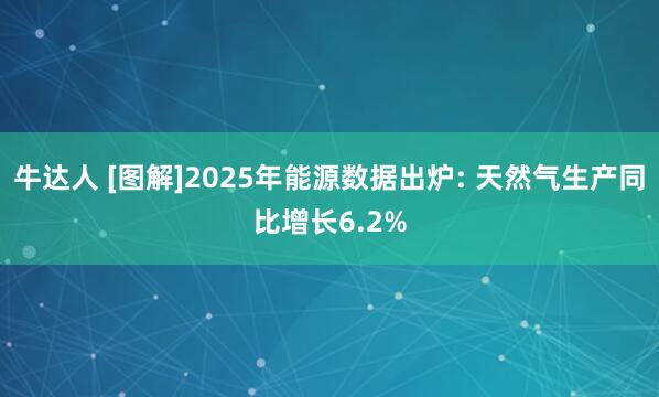牛达人 [图解]2025年能源数据出炉: 天然气生产同比增长6.2%